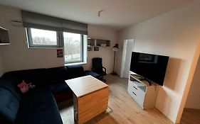 City View Studio